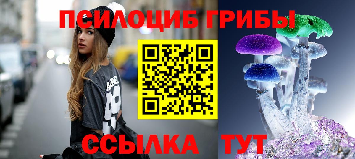 Псилоцибиновые грибы GOLDEN TEACHER Ирбит