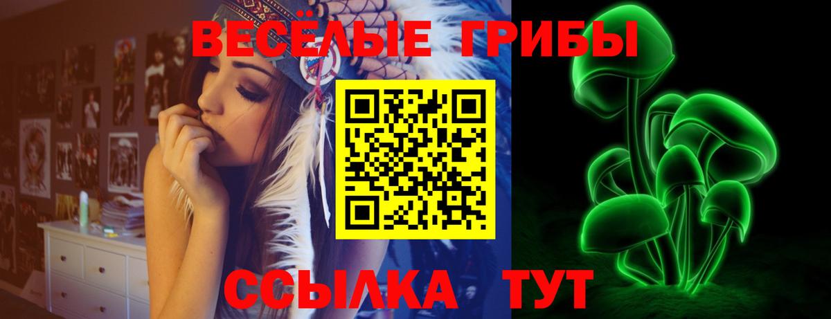 даркнет сайт  Вход с VPN  Ирбит  Галлюциногенные грибы прущие грибы 
